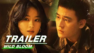 Official Trailer: Wild Bloom | Zhao Liying x Oho Ou x Li Guangjie | 风吹半夏 | iQIYI