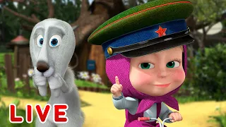 🔴 LIVE STREAM 🎬 Masha and the Bear 🐻👱‍♀️ How to train your rabbit 🐰