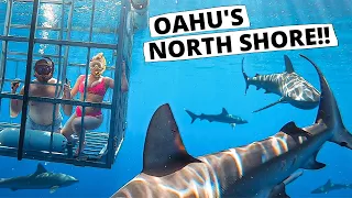 Hawaii: One Day in North Shore Oahu | Cage Dive w/ Sharks, Waimea Valley, Sunset Beach, & MORE!