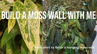 BUILD A LIVING MOSS WALL WITH ME - putting together and planting my moss wall from scratch!