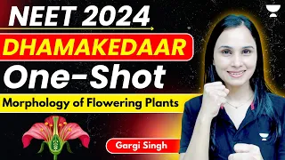 Morphology of Flowering Plants | Dhamakedaar One Shot | NEET 2024 | Dr. Gargi