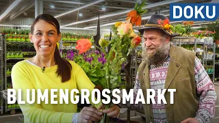 Blumen vom Großmarkt – regional hat's schwer | doku | erlebnis hessen