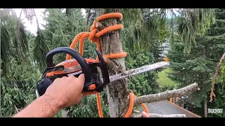 RIGGING TREES TOPS OLD SCHOOL.