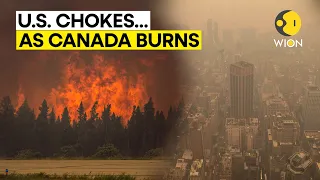 60 million Americans under air-quality alerts | Canadian wildfire smoke plagues US | WION Originals