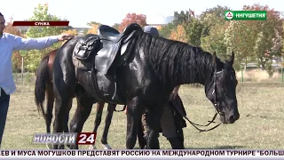 Поход конно - спортивного клуба "Дикая дивизия".