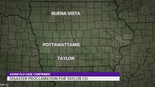 Gov. Reynolds issues disaster proclamation for Taylor County following avian flu case