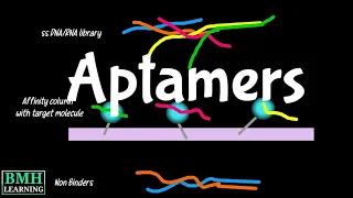 Aptamers | Aptamers & SELEX Selection |
