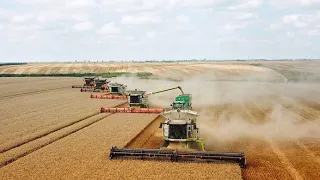 Harvesting wheat with multipele combines, Claas Lexion 770 and NH CR 10.90, 9.90 in Romania 2019