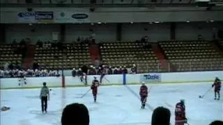 Teddy Bears Stopping A Junior Hockey Game!