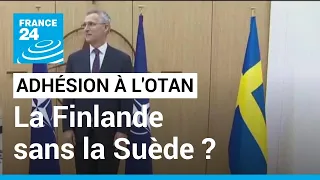 Adhésion à l'Otan : la Finlande pourrait rejoindre l'alliance sans la Suède • FRANCE 24