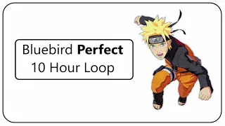 Bluebird 10 Hour "Perfect" Loop