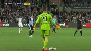 Goalkeeper stops game to rescue injured Seagull