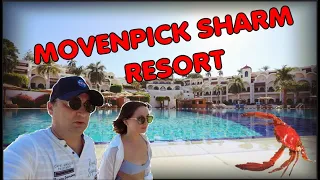 Обзор отеля Movenpick Sharm Resort