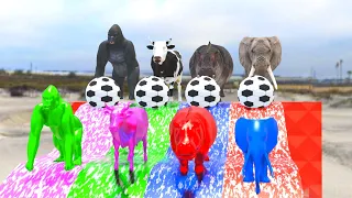 Animal Crossing Fountain Elephant Cow Hippo Gorilla Animals Transformation