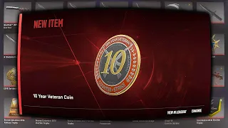 10 YEAR VETERAN COIN MOMENTS