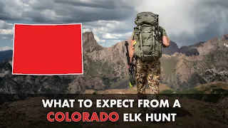 What to Expect From a Colorado Elk Hunt | Mastering the Draw