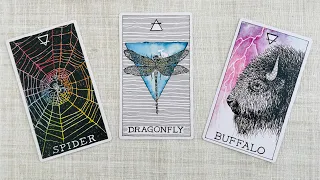 "What You Don't See Coming" *Pick a Card* (Timeless Tarot)