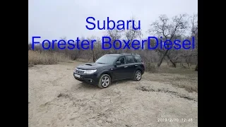 Video 255: Краткий обзор Subaru Forester 2010 2.0 BoxerDiesel EE20Z