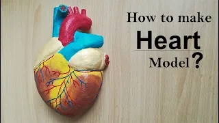 How to make Human Heart Model | Part 1/2