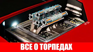 ВООРУЖЕНИЕ ТОРПЕДЫ ПОЛНЫЙ ОБЗОР ЧЕРТЕЖИ И ЭКСПЕРИМЕНТАЛЬНЫЕ ЭФФЕКТЫ И ТАКЖЕ ИСПОЛЬЗОВАНИЕ