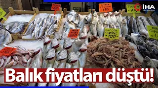 Ege’de Balık Tezgahları Doldu, Fiyatlar Düştü