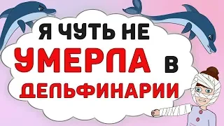 Я чуть не УМЕРЛА в ДЕЛЬФИНАРИИ