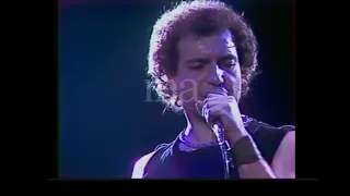 Lavilliers Live 1980