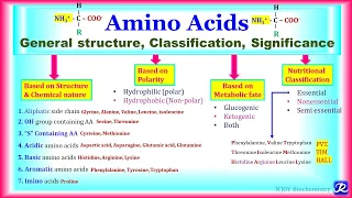 1: Amino Acids : General structure, Classification, Significance | Amino acid Chemistry-1| Biochem