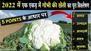 फुल गोभी की खेती कब और कैसे करें | Gobhi ki kheti kab aur kaise karen | Cauliflower Farming In India