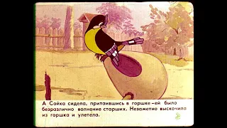 Диафильм Сойка 1966