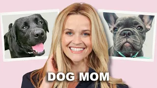 What You Didn’t Know About Reese Witherspoon’s Dogs…