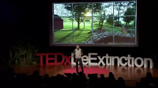 How to Bring Passenger Pigeons All the Way Back: Ben Novak at TEDxDeExtinction