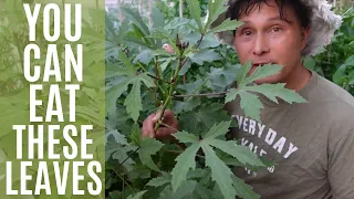 Vegetables & Fruit Trees Leaves You Didn't Know You Can Eat