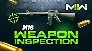 COD Modern Warfare 2 - M16 Weapon Inspection + Reload Animation [MWII]