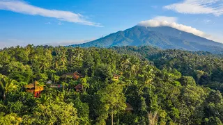 A tour of Bali's pioneering & award winning Eco lodge | Sarinbuana Eco Lodge