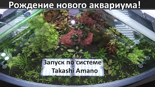 Рождение нового аквариума, запуск по системе Takashi Amano