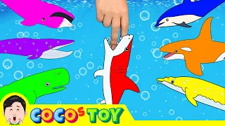 Let's have a party for whaleㅣchildren's animal cartoons, whale namesㅣCoCosToy
