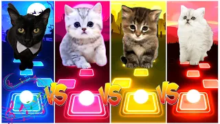 CUTE CATS LADY GAGA BLOODY MARY vs BLACKPINK LISA MONEY vs JISOO FLOWER vs IMAGINE DRAGONS ENEMY