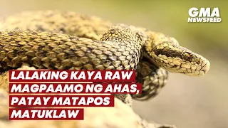 Lalaking kaya raw magpaamo ng ahas, patay matapos matuklaw | GMA News Feed