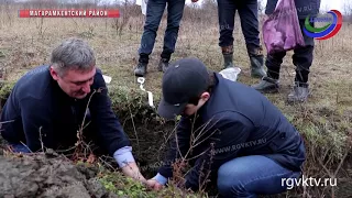 В Магарамкентском районе весной заложат сад площадью в 140 га