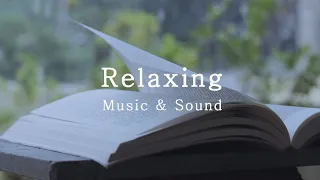 [Playlist] Music for Reading, Relaxing Music, Beautiful Piano & Rain Sounds, 피아노와 빗소리, 독서하는 평화로운 시간