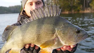 Jig fishing for big perch in cold water