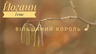 Йоганн Гете, балада "Вільшаний король", 9 клас