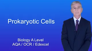 A Level Biology Revision "Prokaryotic Cells".