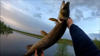 ОГРОМНАЯ ЩУКА СЛОМАЛА СПИННИНГ.Tict 74 b4... Ломаный злой коротыш