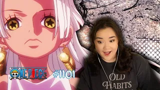 THE STRONGEST FORM OF HUMANITY! | One Piece Episode 1101 Reaction 🌸