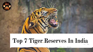 Best Tiger Reserves for Tiger Sighting in India | When to go? How to Book? Best Zones? Famous Tigers