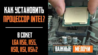 Как установить процессор Intel правильно? How to install CPU Intel? LGA 1151, 1151v2, 1155, 1150...