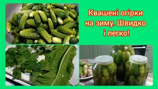 Квашені огірки на зиму. Швидко і легко!//Моє село на Полтавщині.