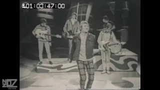 The Purple Hearts - Just A Little Bit (1966)